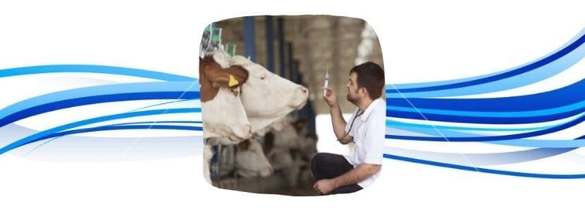 Los Veterinarios llegan al Congreso de la mano de Ciudadanos