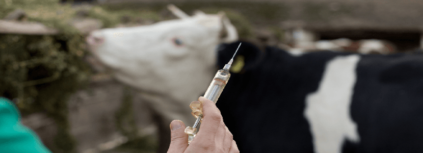 Aumenta la escasez de profesionales veterinarios de campo