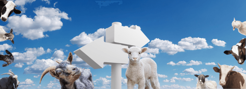 Último informe de la disminución en el uso de antimicrobianos en animales