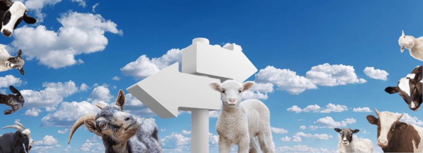 Último informe de la disminución en el uso de antimicrobianos en animales