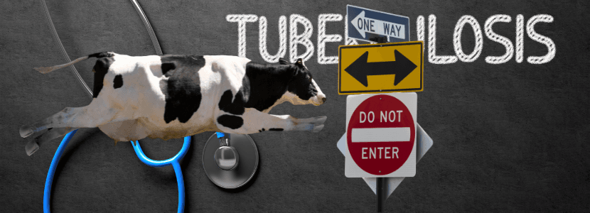 La tuberculosis bovina en Castilla y León y Planas