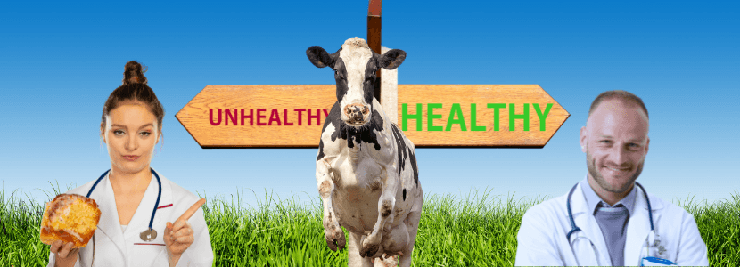 Madrid amplía su oferta para veterinarios con 7 plazas