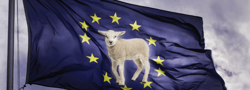 Unión de Uniones critica la competencia desleal con la carne de cordero