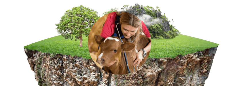 Cuando un veterinario de clínica gana menos que su propio reponedor