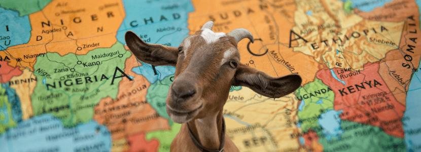 La OMSA sensibiliza sobre las zoonosis a comunidades en África Occidental y Central