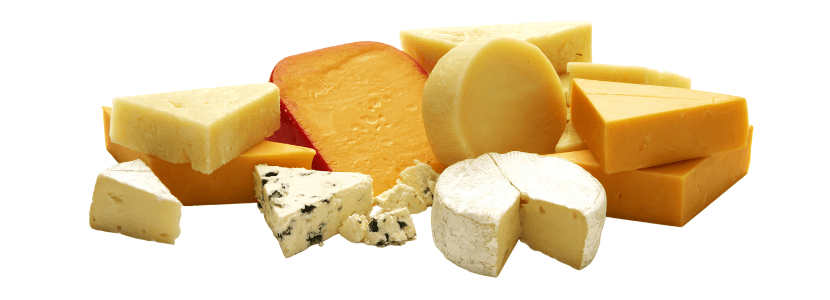 La leche de oveja para Queso Manchego se dispara y ya asciende un 40,3% anual