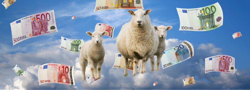 La moneda de cambio en el acuerdo de libre comercio con Nueva Zelanda