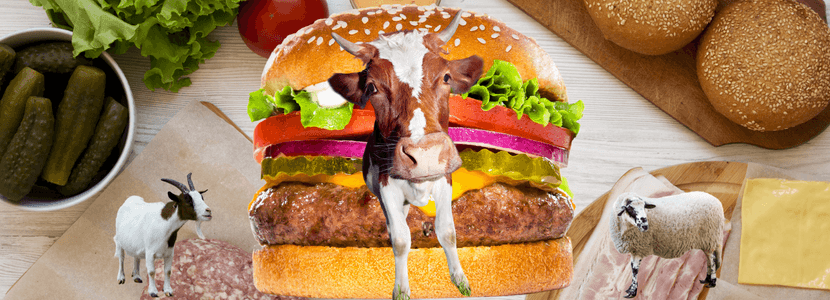 Los franceses prohíben llamar "hamburguesa" a las hamburguesas vegetarianas