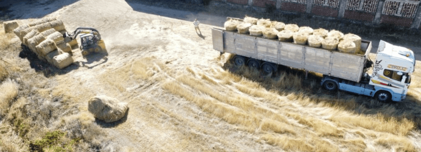 Los ganaderos afectados por el incendio de Cáceres van a recibir 20.000 kilos de heno