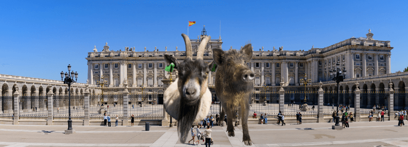 Rumiantes salvajes y jabalís de la Comunidad de Madrid