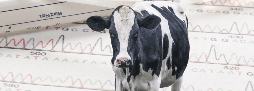 JARC denuncia la exclusión de productores lecheros de la ayuda del genotipado