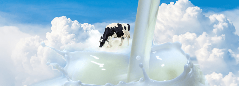 Aumento del precio de la leche por primera vez en catorce años