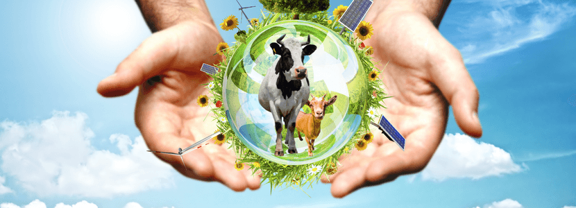 La ganadería y el medio ambiente