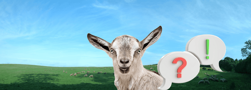 Detección de viruela ovina y caprina en España