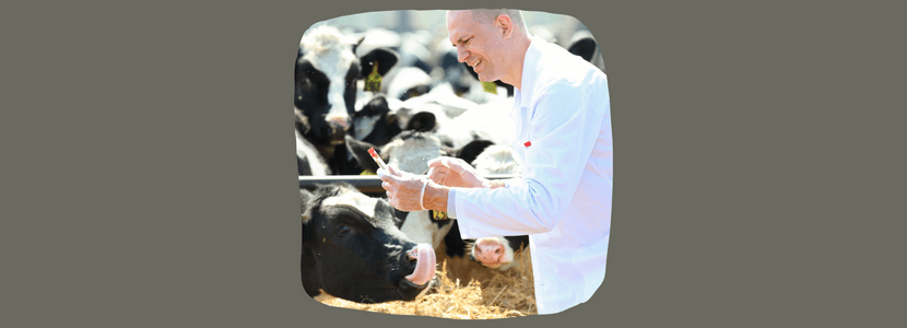 Los veterinarios asturianos celebran San Francisco de Asís