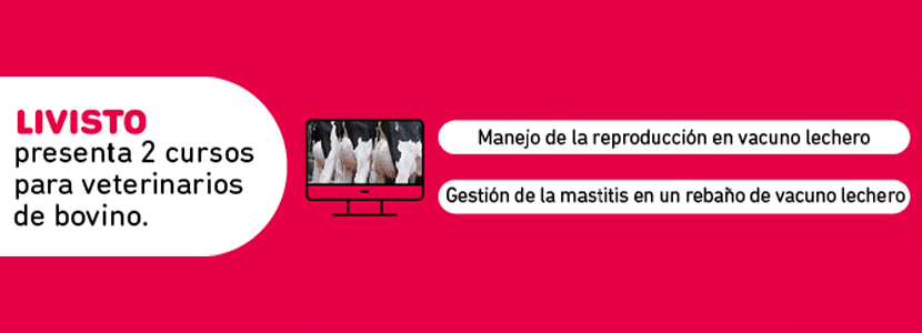 LIVISTO lanza nuevos cursos para veterinarios de vacuno