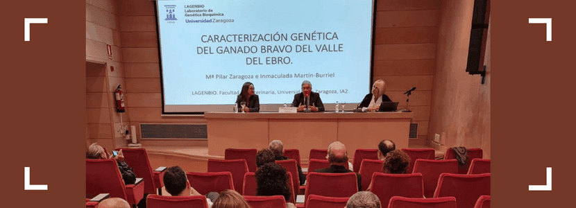Ganado bravo del valle del Ebro como raza autóctona
