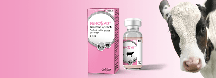 Boehringer Ingelheim lanza la vacuna Fencovis® para prevenir la diarrea en terneros