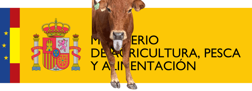 Primera vez en la historia que se detecta la Enfermedad Hemorrágica Epizoótica en España