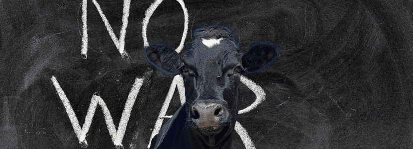 2.000 vacas muertas y un reguero de minas en Ucrania