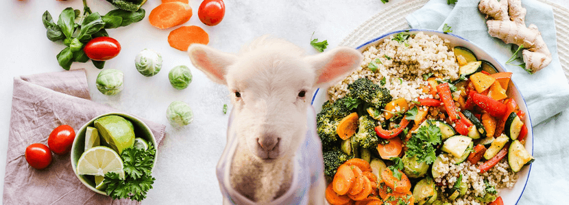 El futuro de la Seguridad Alimentaria