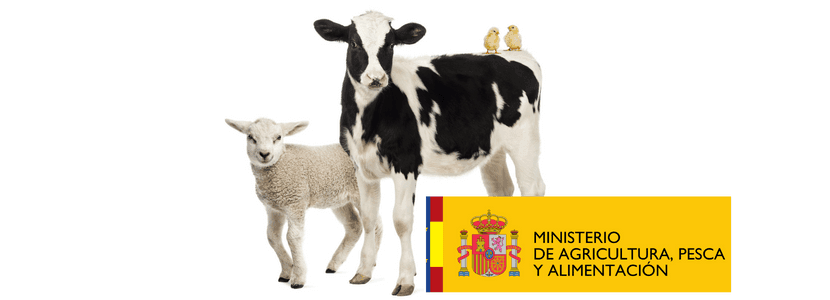 España prevé continuar con la erradicación oficial de la brucelosis bovina