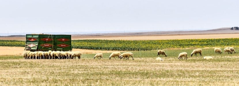 Últimas normas necesarias para la aplicación de la nueva PAC