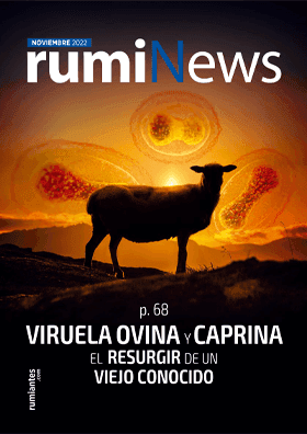 rumiNews Noviembre 2022