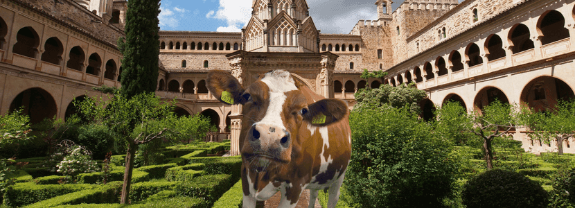 Se renueva la acreditación Europea de la Facultad de Veterinaria de Cáceres