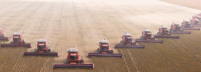 Mercado de materias primas estabilizado y primeros datos de nuevas cosechas