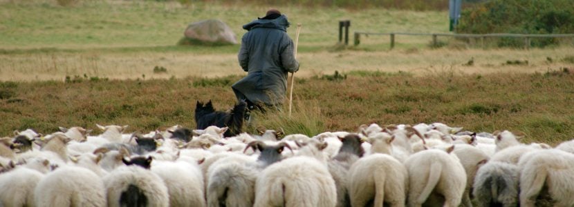 Cantabria participa en el proyecto ECOSPAS