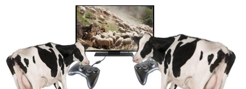Uso de juegos para el reconocimiento de cojeras en ovino