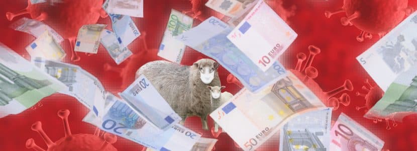 Concesión de ayudas para la reposición por la viruela ovina