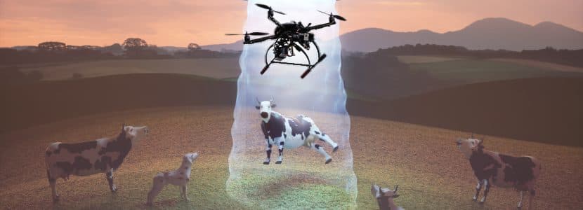 Drones para estimar las dimensiones corporales de las vacas