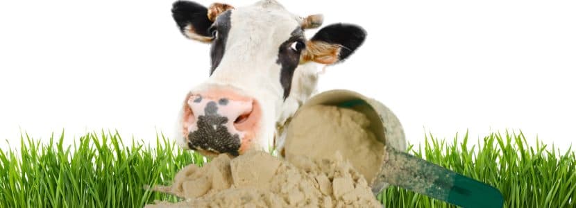 Efectos del suplemento NutraGen sobre el ganado