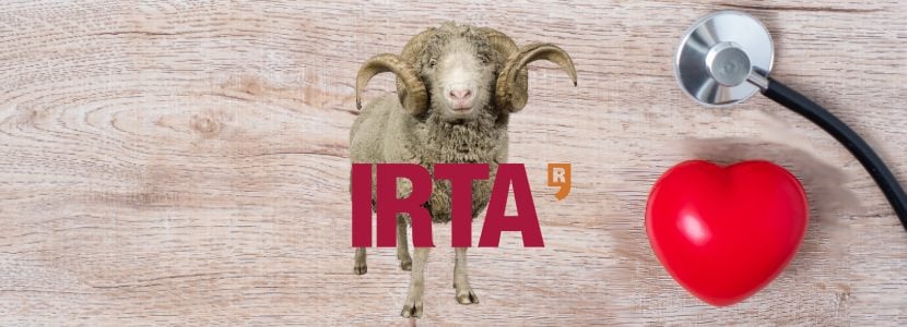 El IRTA será centro nacional de referencia del bienestar animal