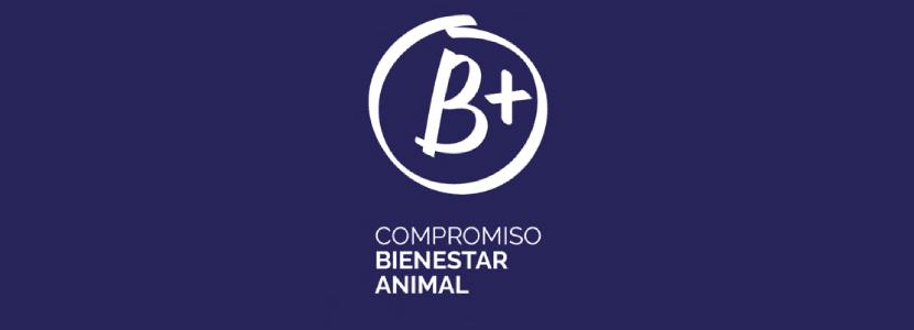 PROVACUNO e INTEROVIC en Campaña conjunta de Bienestar Animal