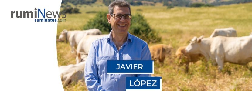 Entrevista Javier López - PROVACUNO, dando voz a los productores de carne de vacuno