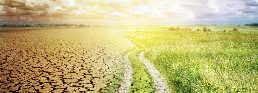 Previsión del mercado de materias primas de mayo: la sequía en España provoca una retención total