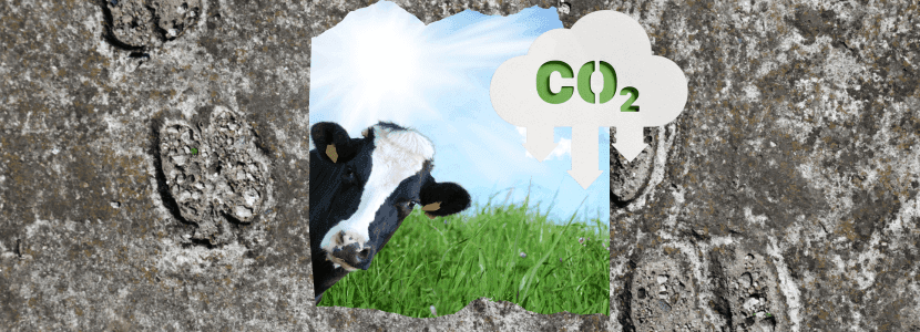 La carne cultivada deja más huella de carbono que la de origen animal