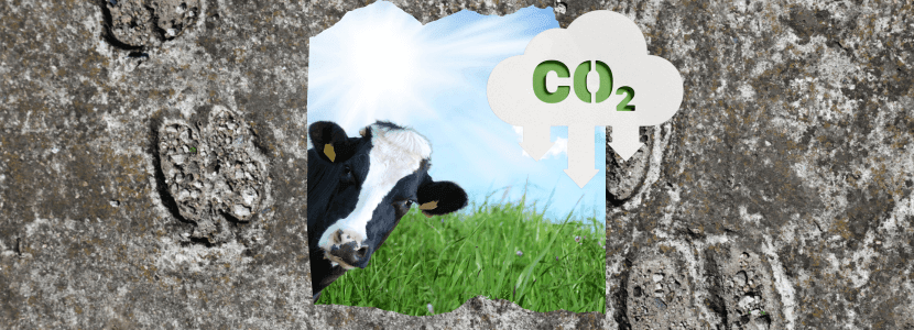 La carne cultivada deja más huella de carbono que la de origen animal
