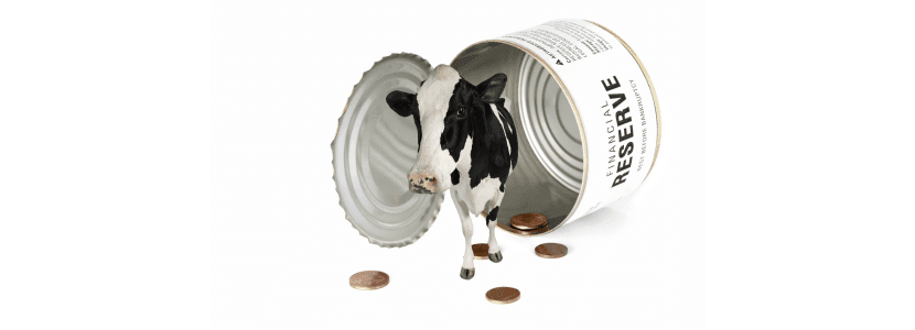 Vender la leche de vaca ya no es rentable