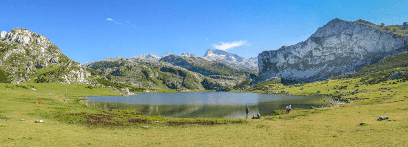 El mundo rural asturiano no puede más