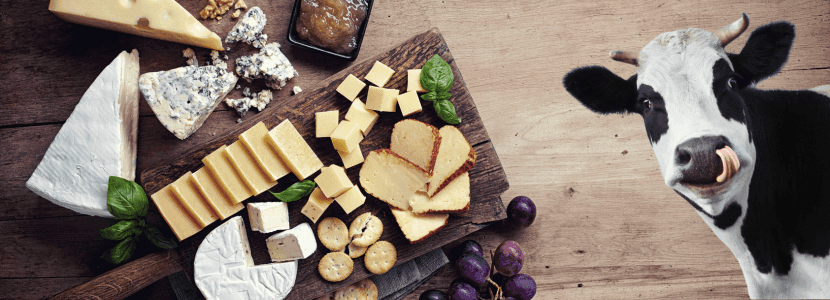 En junio, el queso brillará en los platos mediterráneos más frescos y sanos para "comer"