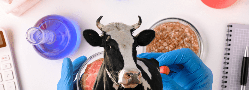 La FAO y la OMS identifican 53 peligros en la carne cultivada en laboratorio