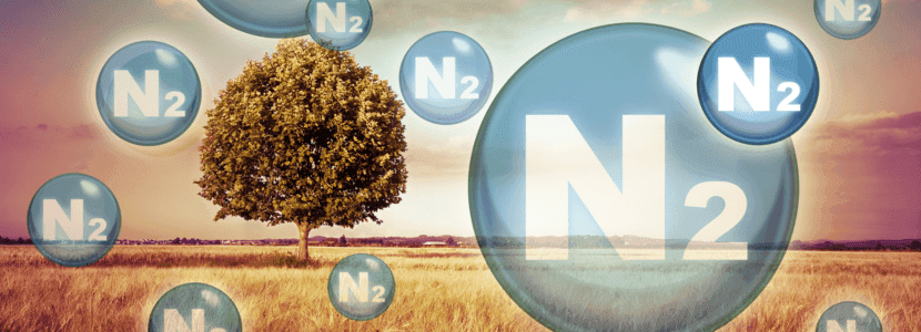 La transformación de una crisis medioambiental en un fenómeno político: las emisiones de nitrógeno en los Países Bajos