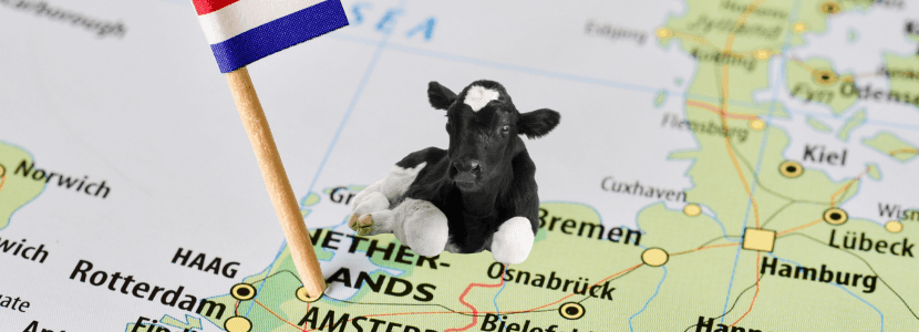 Los agricultores holandeses caen en depresión