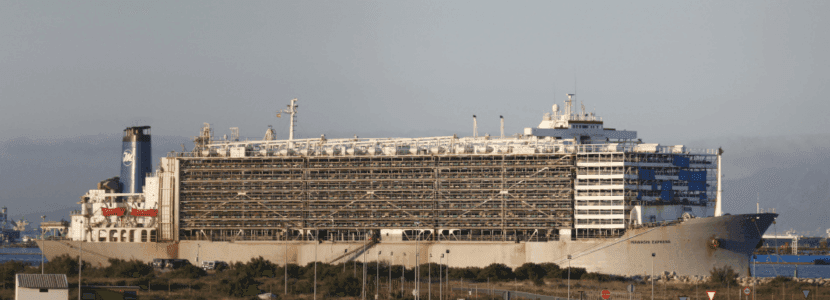 Un barco con vacas atracado en Cádiz es inspeccionado en busca de drogas