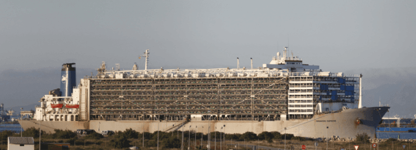 Un barco con vacas atracado en Cádiz es inspeccionado en busca de drogas