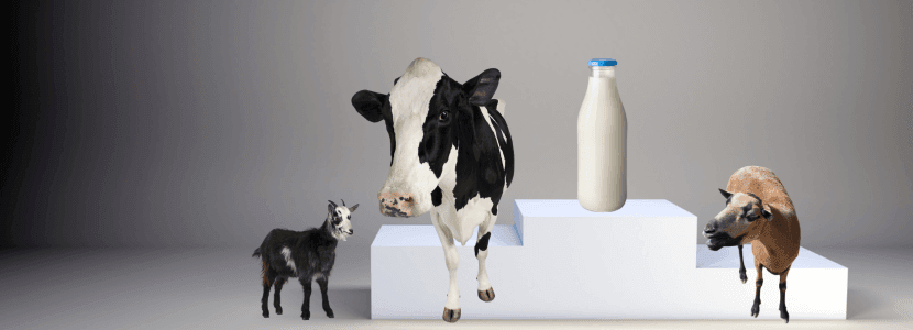 ¿Leche de vaca, oveja o cabra?